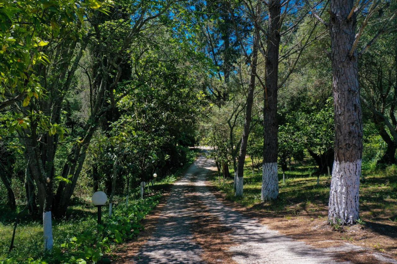 Postatiko Holiday Home Central Corfu Kynopiastai Luaran gambar